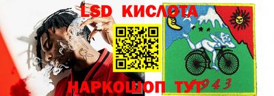 PSILOCYBIN Гусиноозёрск
