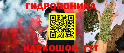 мяу мяу кристалл Гусь-Хрустальный