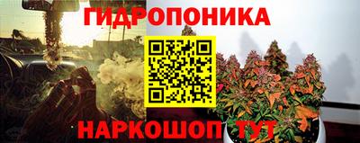 PSILOCYBIN Гусиноозёрск