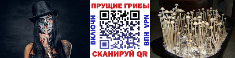 Галлюциногенные грибы ЛСД  магазин    Нерюнгри 