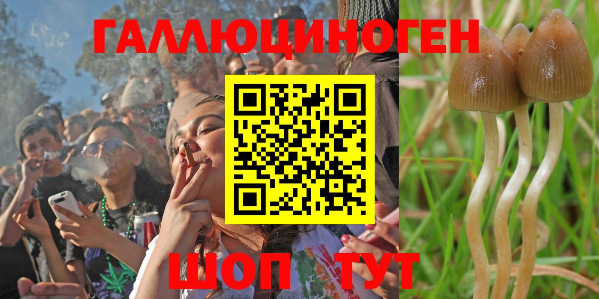 Псилоцибиновые грибы Cubensis Нерюнгри
